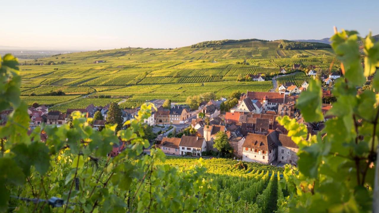 Cute House In Alsace Holiday home Munster (Haut-Rhin)