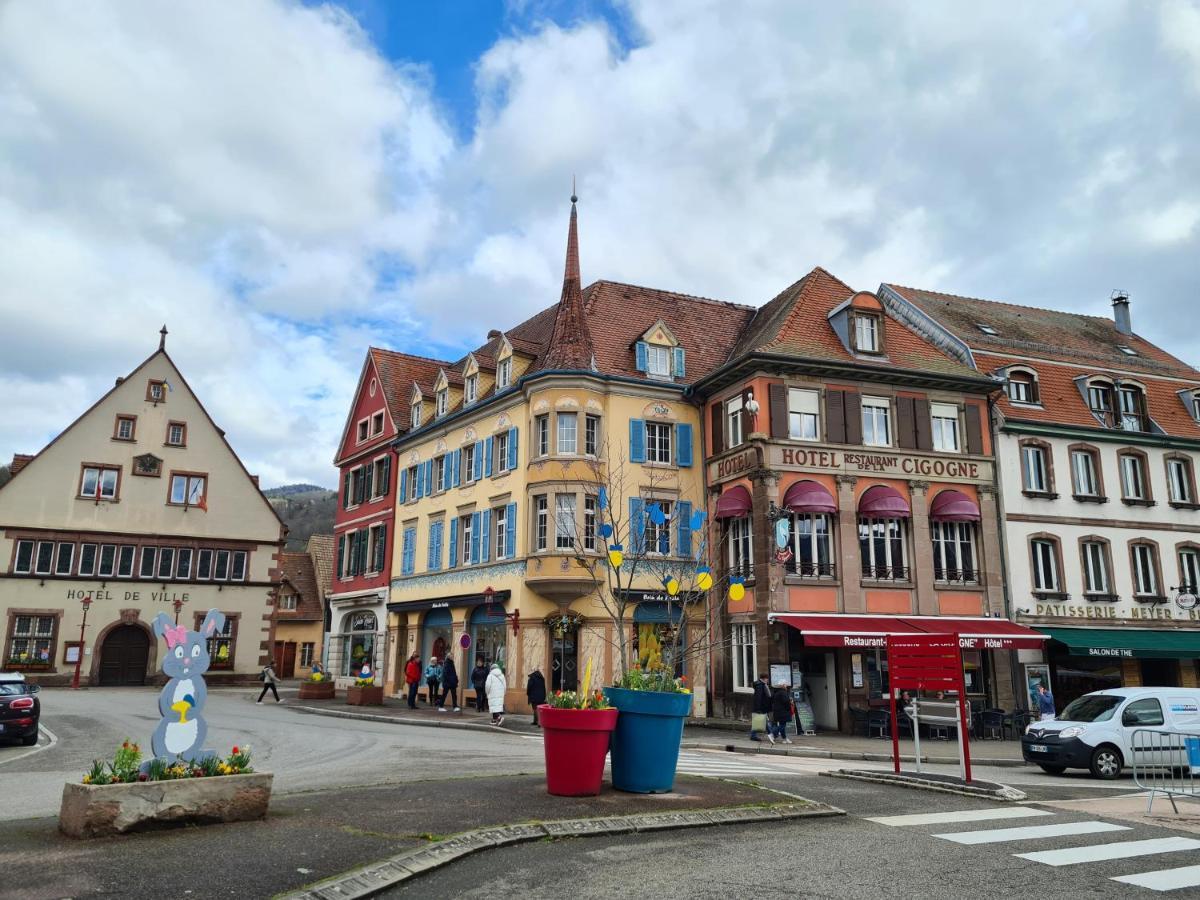 Cute House In Alsace * Munster (Haut-Rhin)
